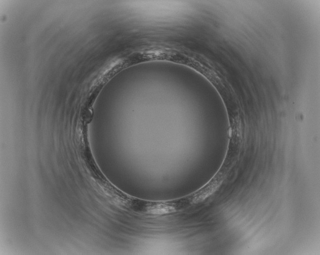 X0000076090754200609291226