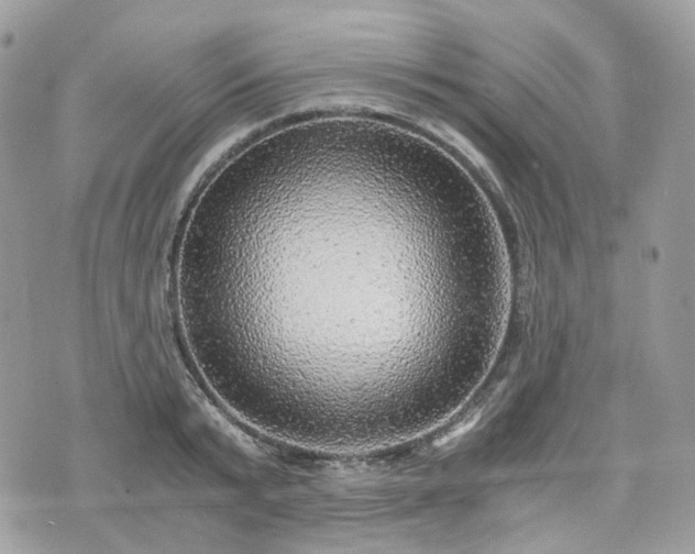 X0000076090799200609291225