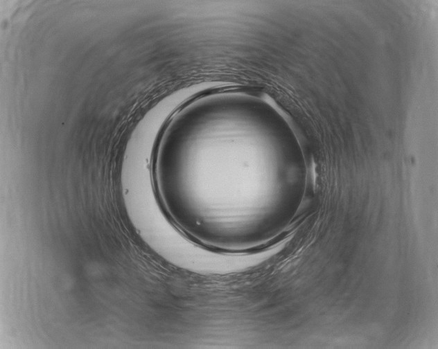 X0000076090818200609291224