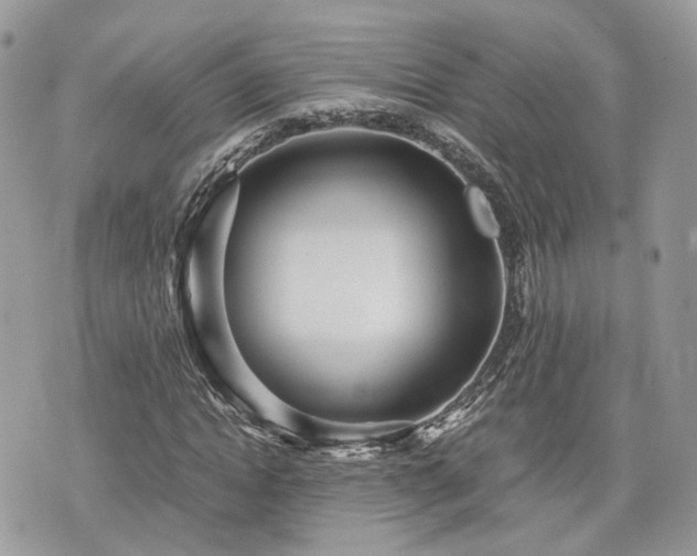 X0000076090822200609291224