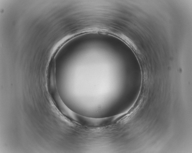 X0000076090854200609291225