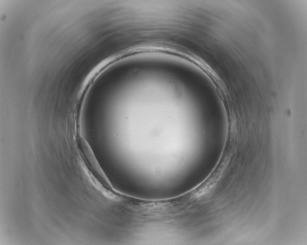 X0000076090862200609291225