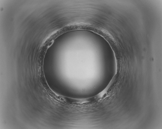 X0000076090872200609291224