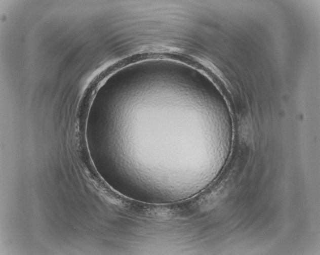 X0000076090971200609291222