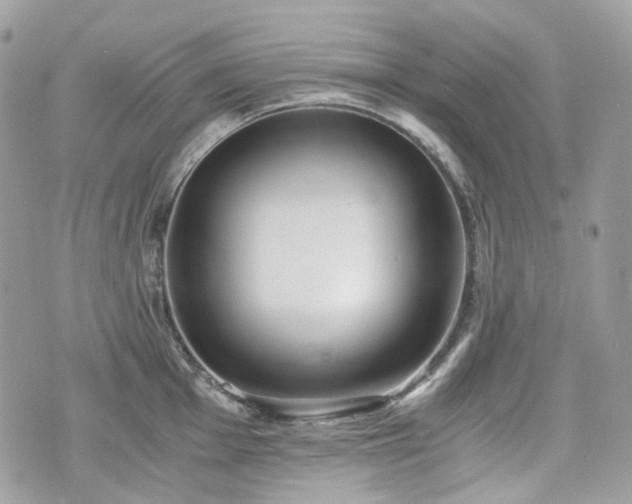 X0000076091001200609291222
