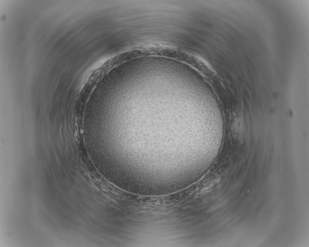 X0000076091016200609291221