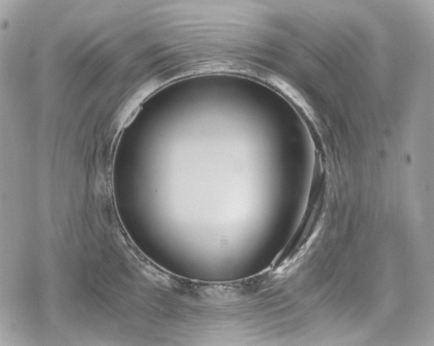 X0000076091097200609291220