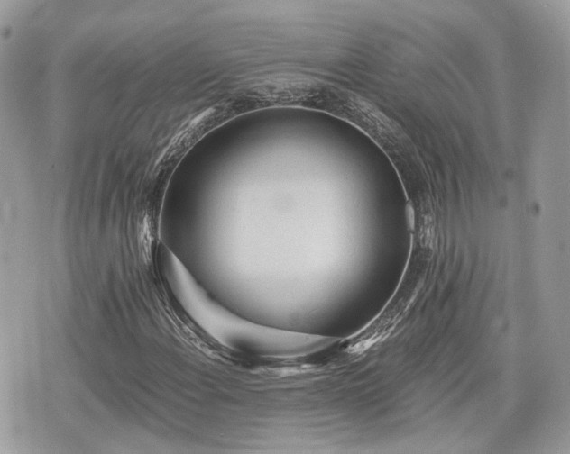 X0000076091108200609291219
