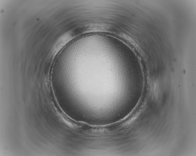 X0000076091129200609291220
