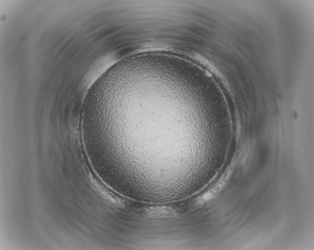 X0000076091137200609291220