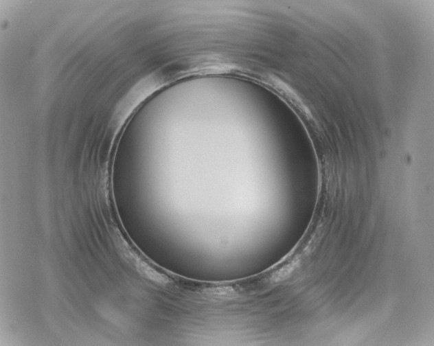 X0000076091186200609291219
