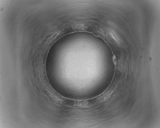 X0000076091201200609291218