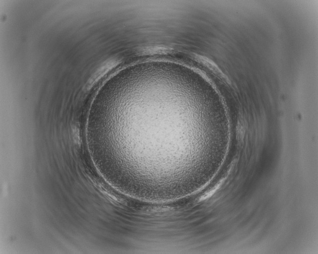 X0000076091209200609291218