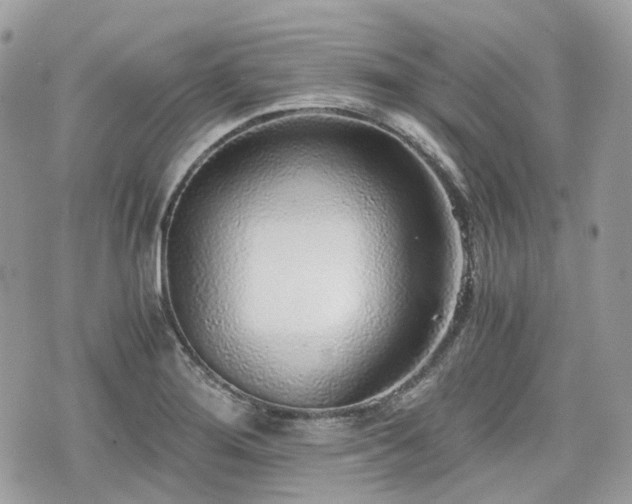 X0000076091276200609291217