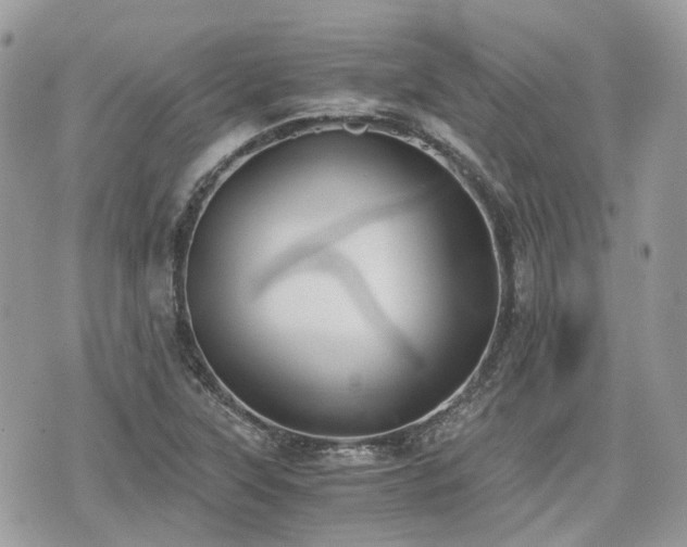 X0000076091315200609291217