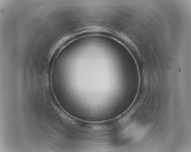 X0000076091318200609291217