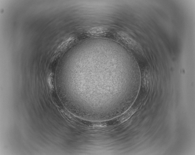 X0000076091346200609291216