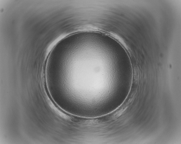 X0000076091387200609291216