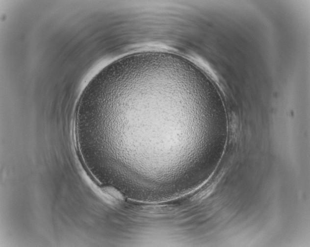X0000076091391200609291215