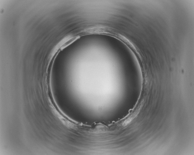 X0000076091434200609291215