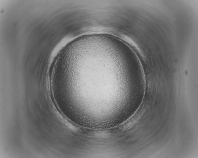 X0000076091472200609291214