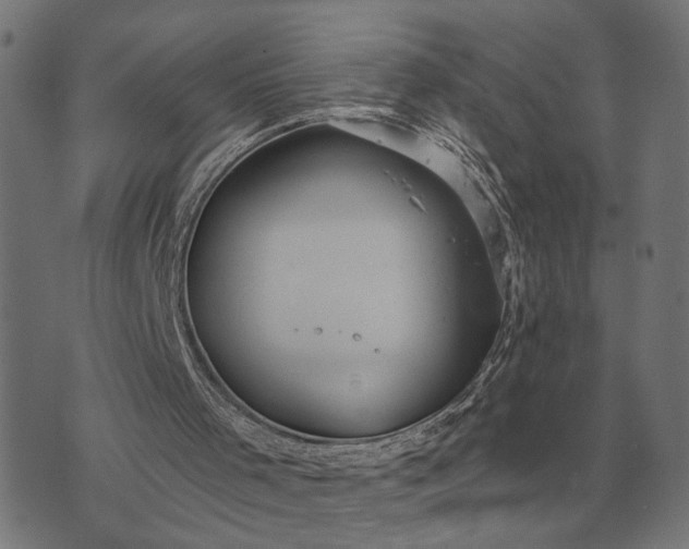 X0000076090001200610061653