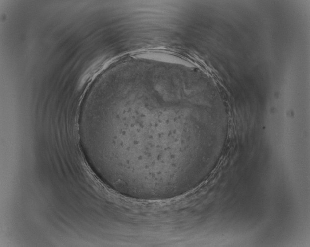 X0000076090002200610061653