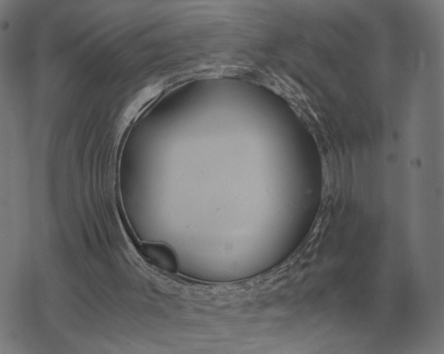 X0000076090003200610061653