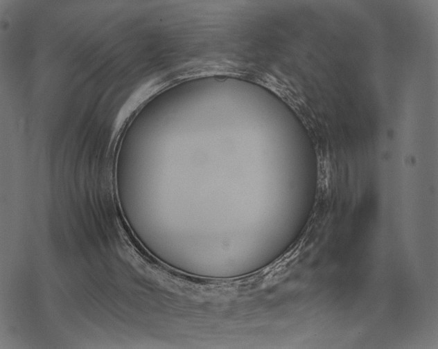 X0000076090004200610061653