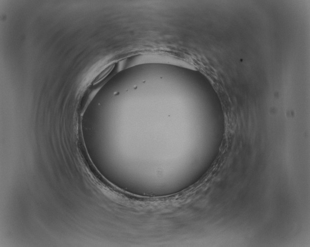 X0000076090005200610061653