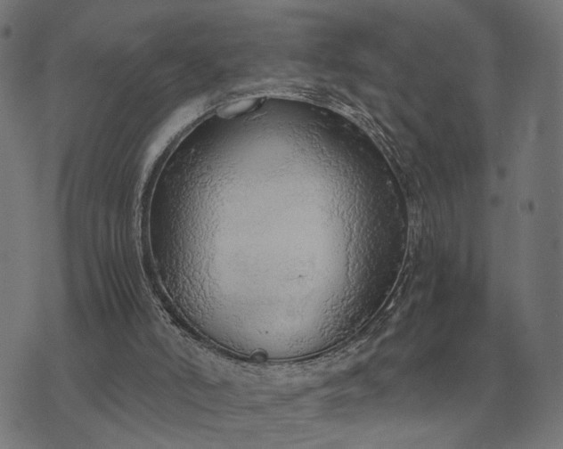 X0000076090006200610061653