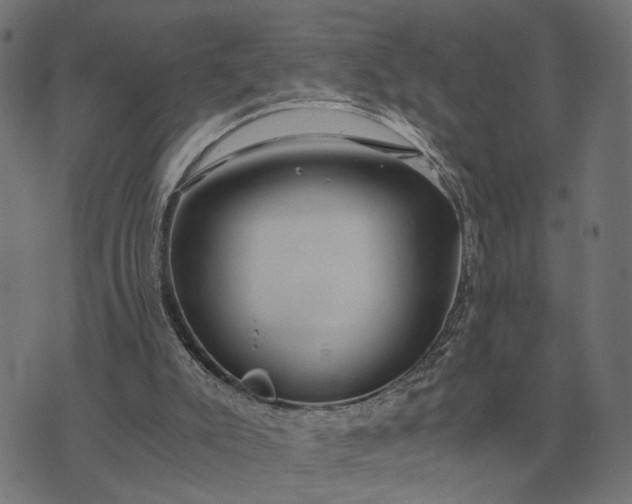 X0000076090007200610061652