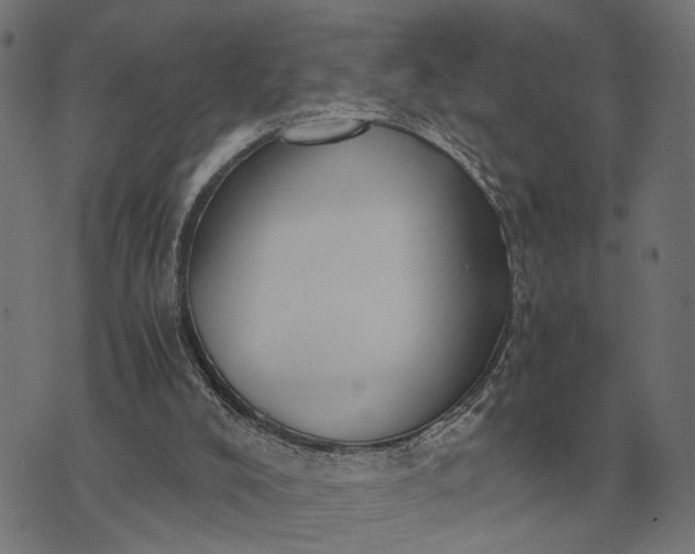 X0000076090008200610061652