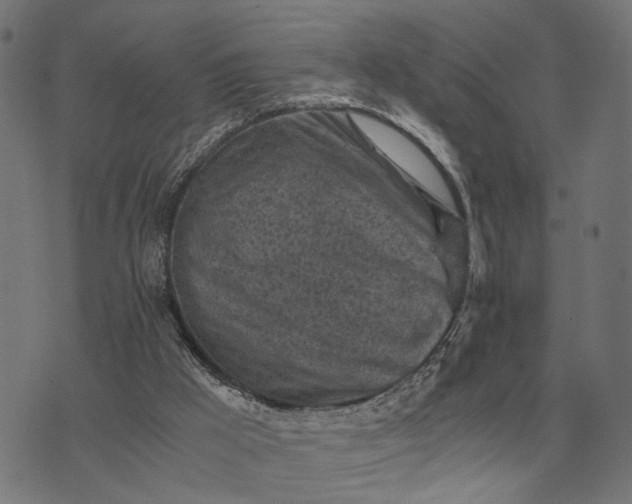 X0000076090009200610061652