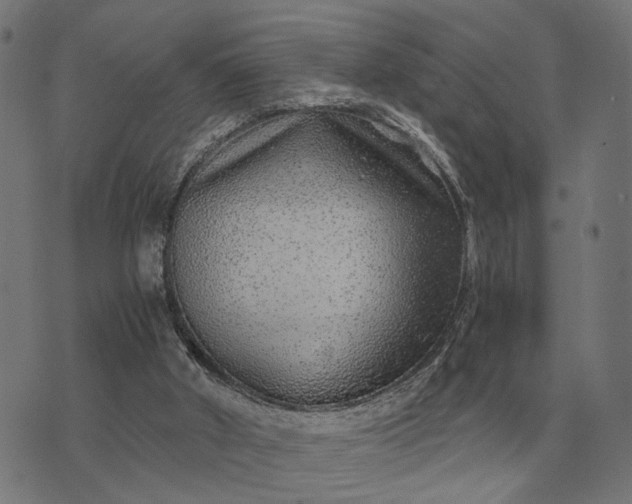 X0000076090010200610061652