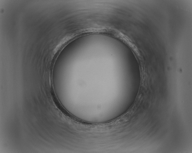 X0000076090011200610061652