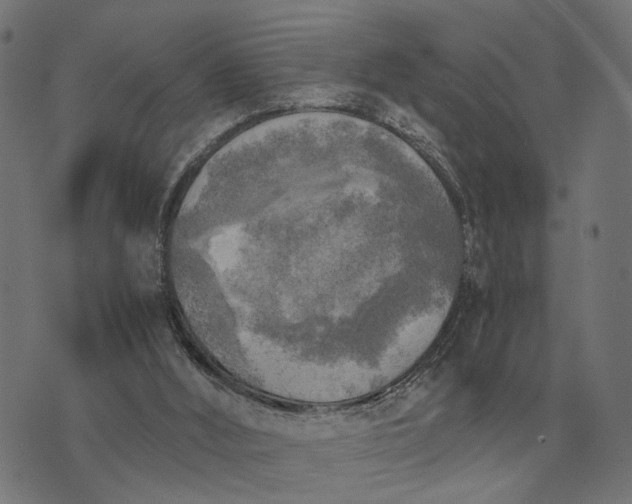 X0000076090012200610061652