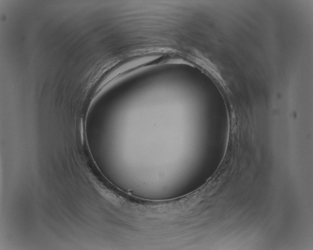 X0000076090013200610061652