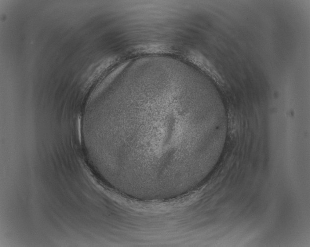 X0000076090014200610061652