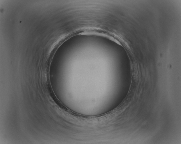 X0000076090015200610061652