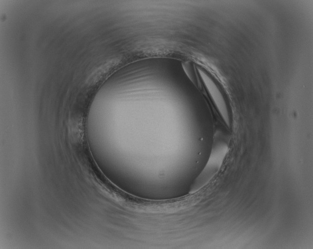 X0000076090017200610061652