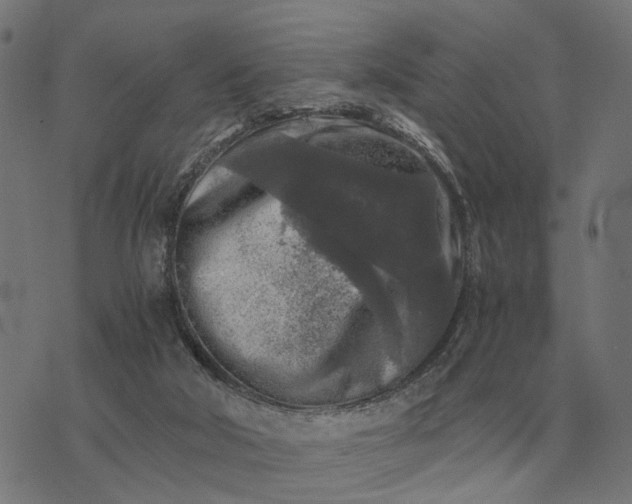 X0000076090018200610061652