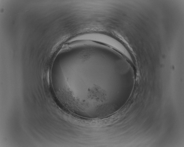 X0000076090019200610061652