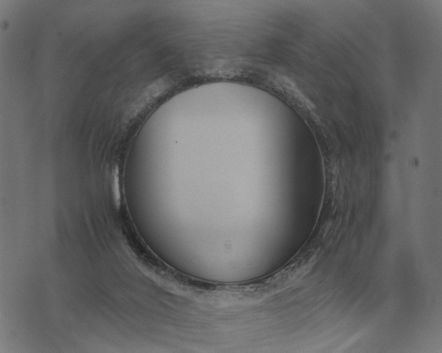 X0000076090020200610061652