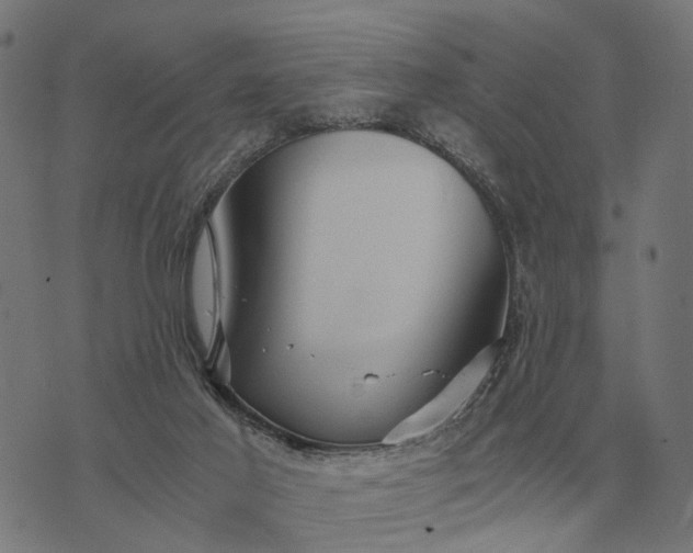 X0000076090021200610061652