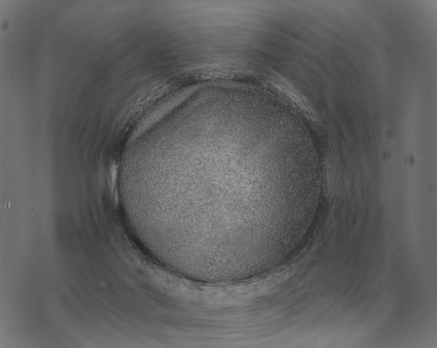 X0000076090022200610061652