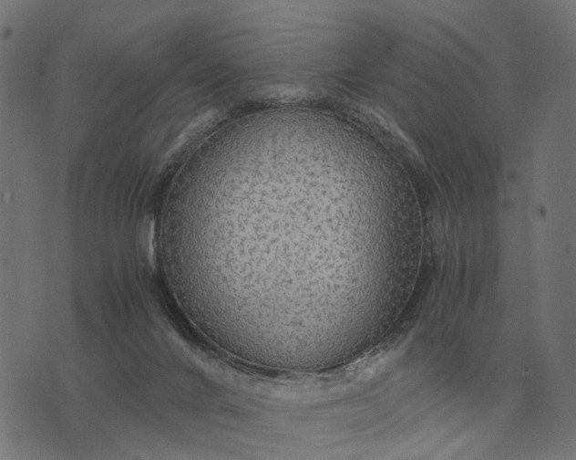 X0000076090024200610061652