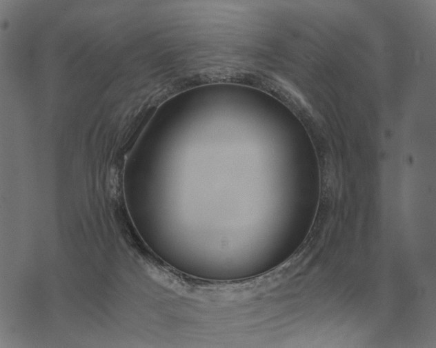 X0000076090025200610061652