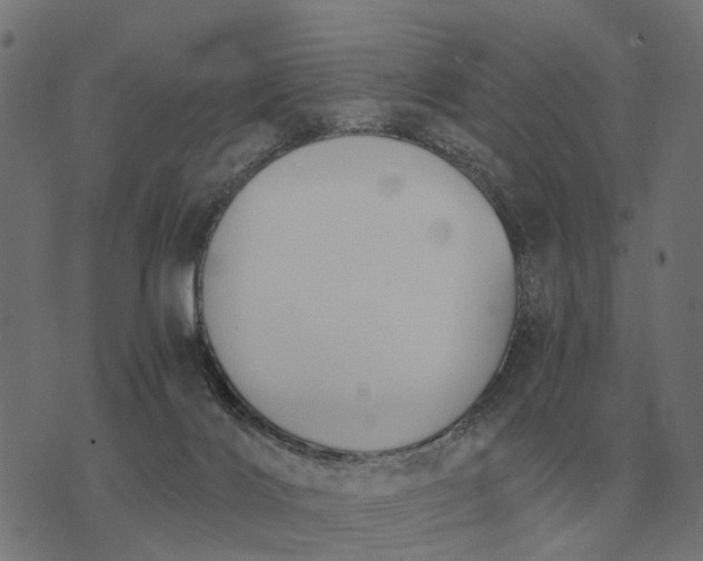 X0000076090028200610061652