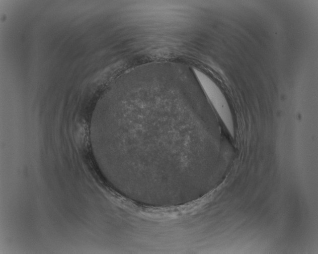 X0000076090029200610061652